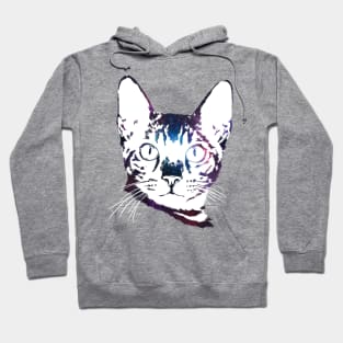 Galaxy Cat Hoodie